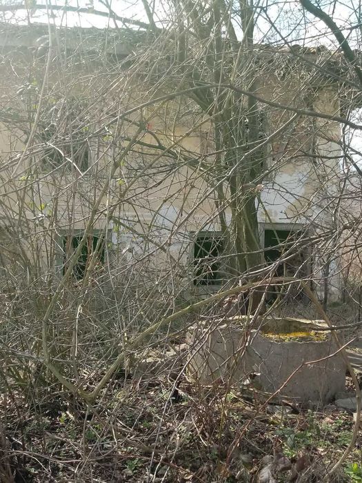 Къща с дворно място