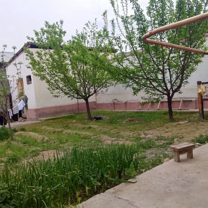 Uy sotiladi namunali kotej