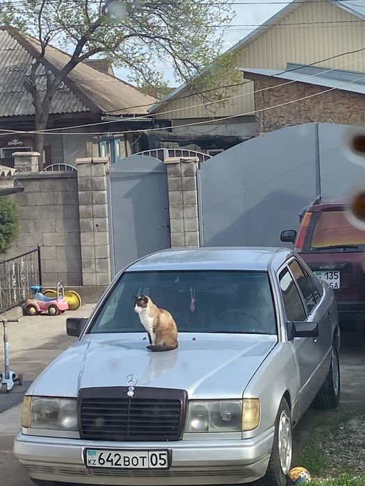 Авто Mercedes Е260