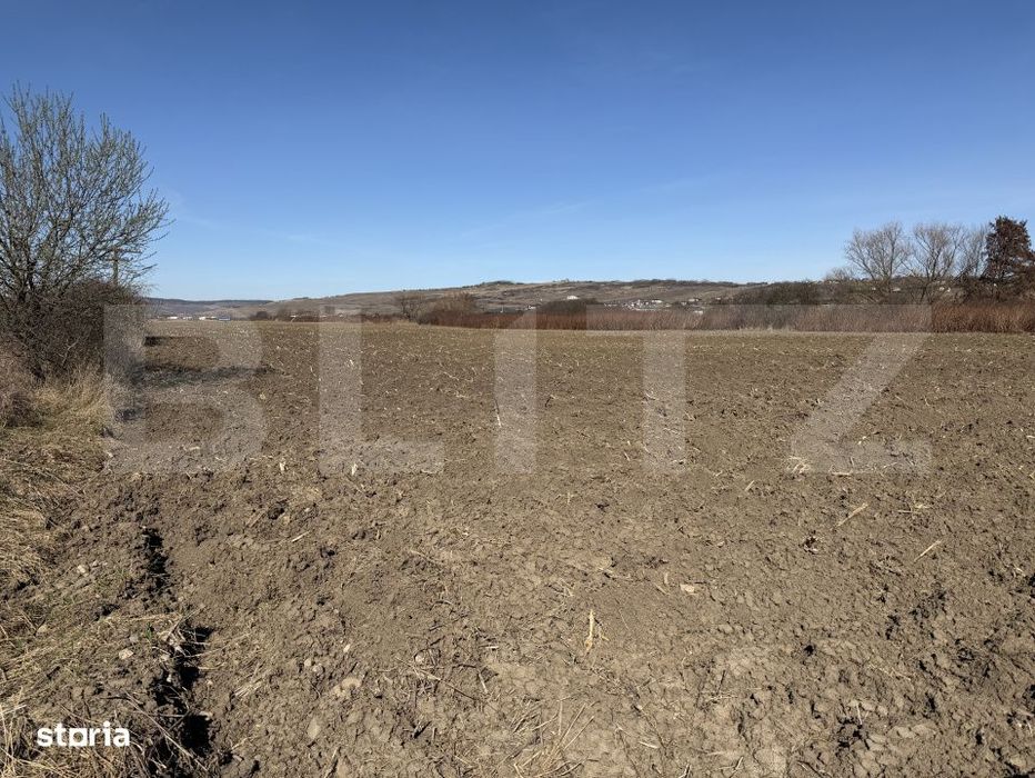 Teren extravilan in suprafata de 4000 mp in loc. Hereclean