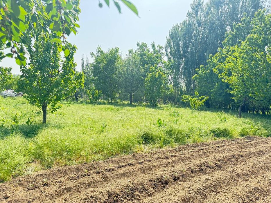 Yer uchaska imorat yoq