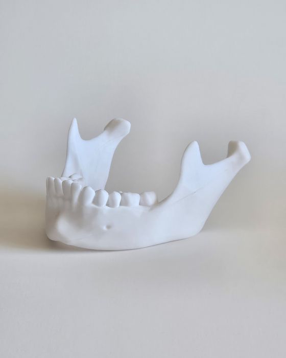 3D Принтиран анатомичен модел на череп