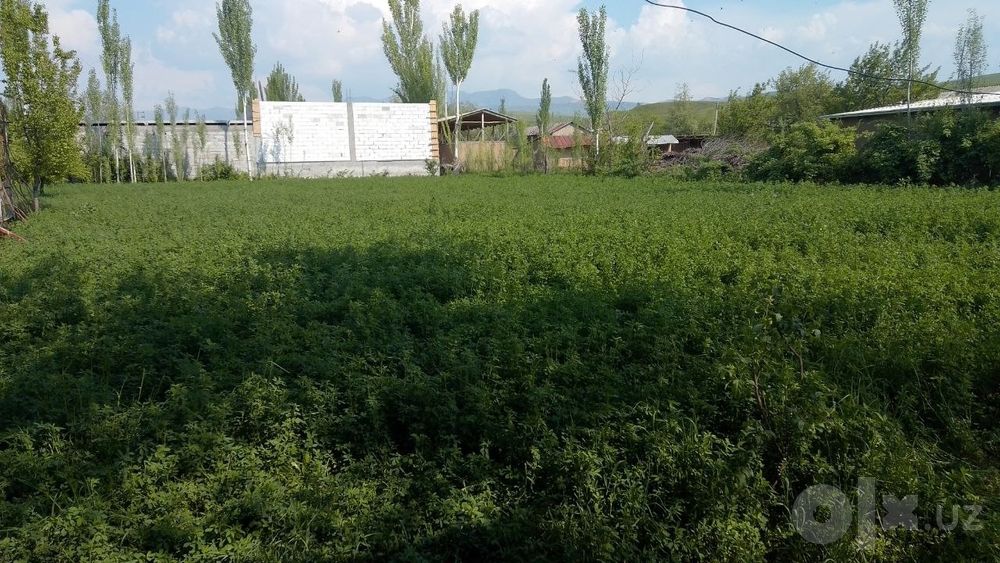 участок с кодастром