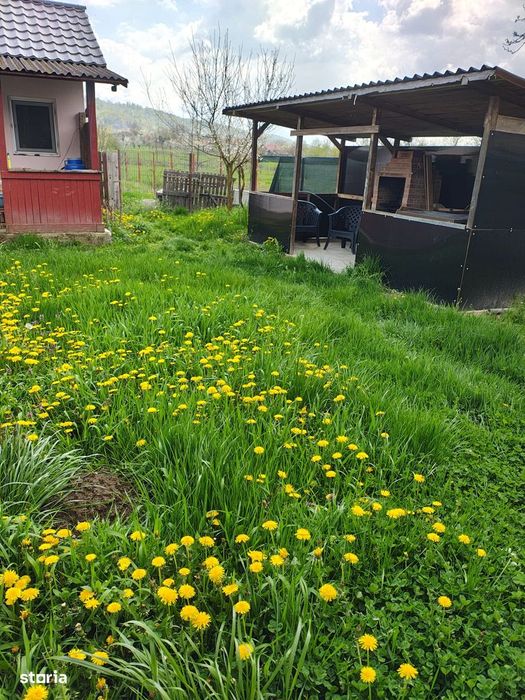 Casă cu teren generos la marginea Parcului Dendrologic