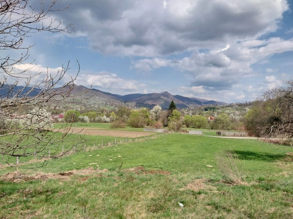 Teren intravilan