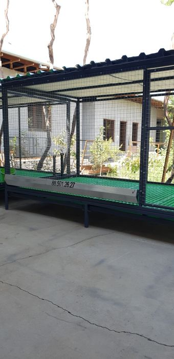 Tovuqlar uchun kataklar