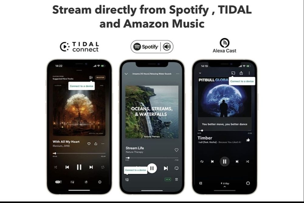 WiiM Mini,  Hi-Fi Сетевой аудиоплеер