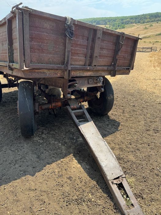 De vânzare țap frumos, oi, remorca, și un portbagaj dubita Fiat ducato