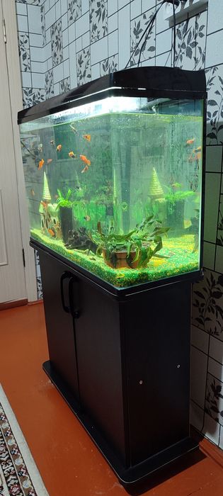 Аквариум заводской