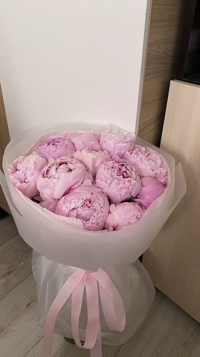 Цветы пионы розовые