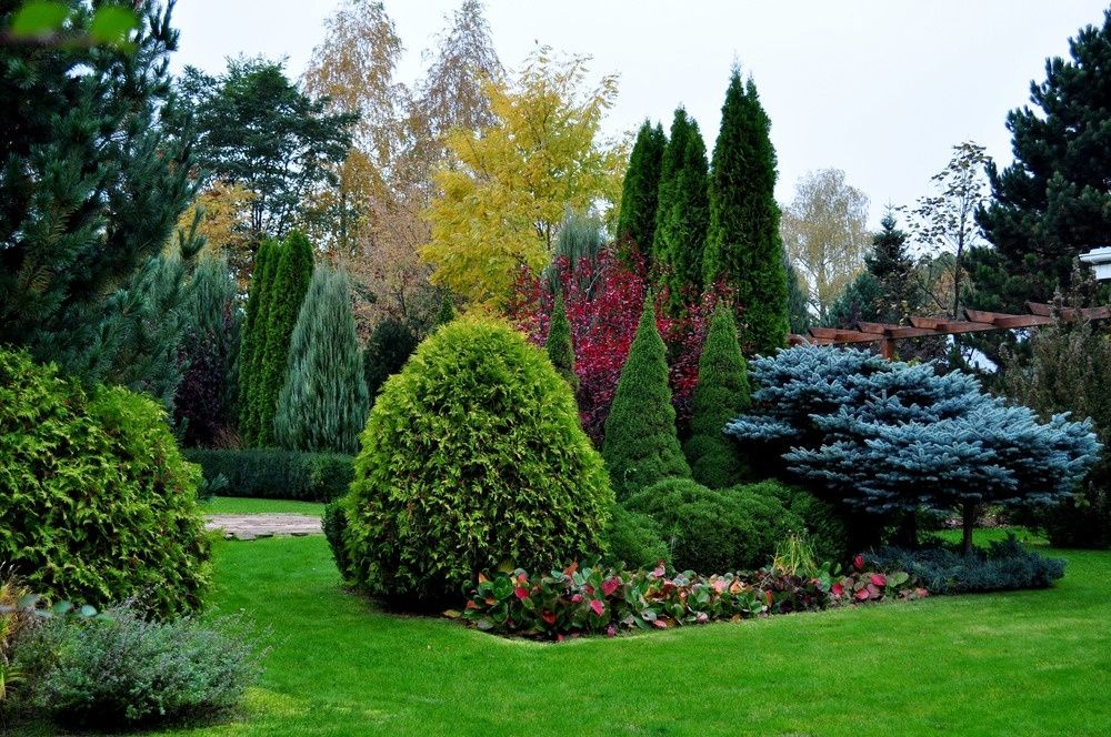 Озеленение участков под ключ