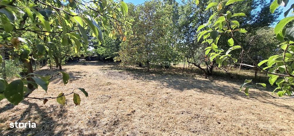 Casă de vânzare central Seini