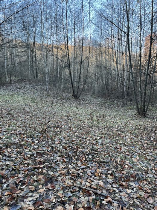 Vand teren extravilan 15000m in Valea Lunga-Dambovita cu padure, ideal pentru investitii