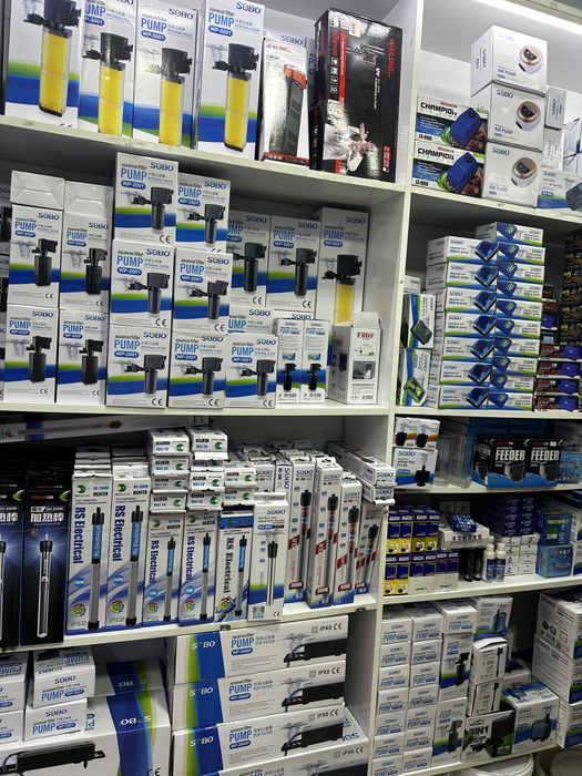 Akvarium va baliqlar olami