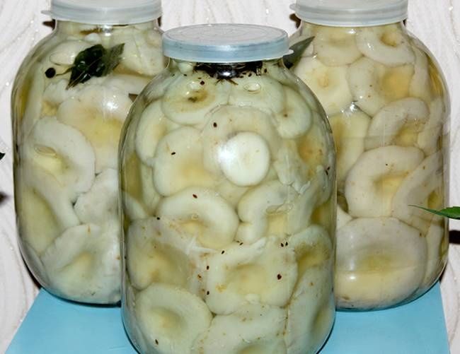 Грузди домашние солёные в 3х и 2х литровых банках.