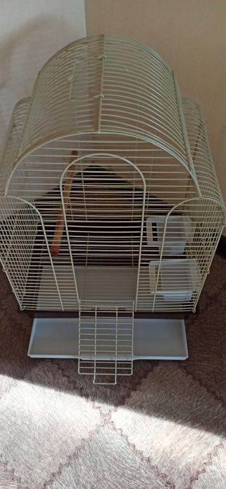 Клетка для попугаев