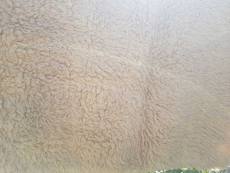 Вълнени китеници