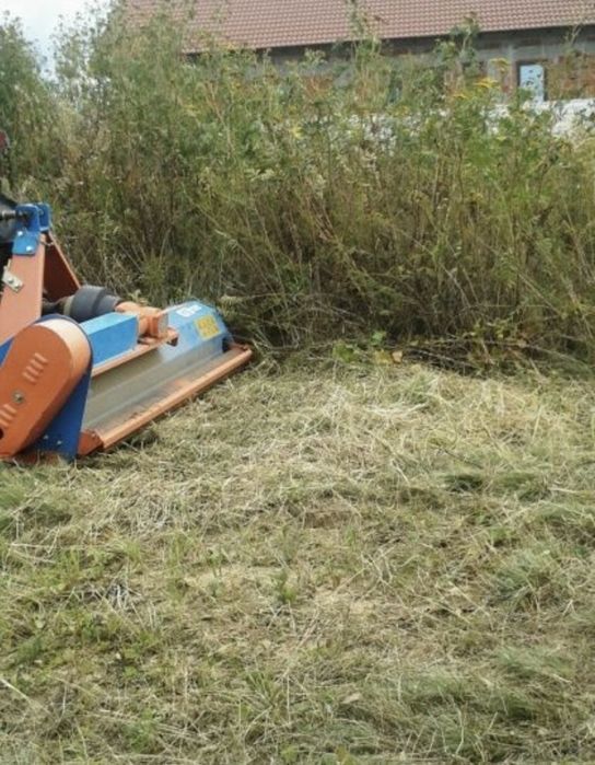 Defrisari mecanizate taiere pomi