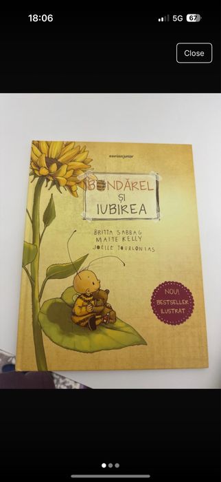 Carte Bondarel si iubirea