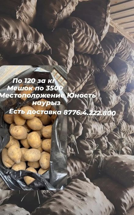 Продам картошку в мешках