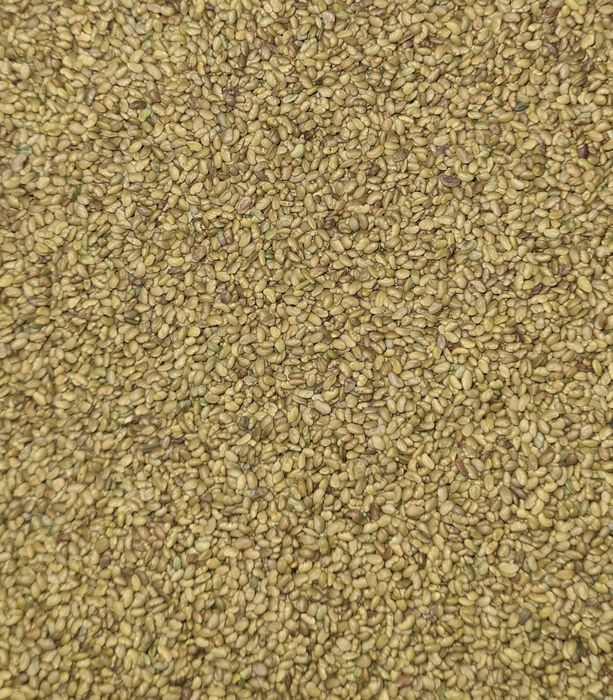 Sămânță de lucernă certificată