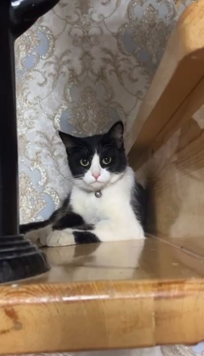 2 yosh qiz bola yaxshi insonlarga hadiya qilinadi