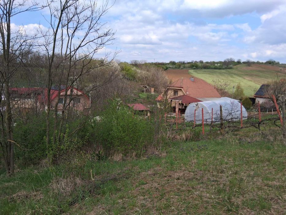 Teren casa in Episcopia Bihor suprafata 1000 mp , dublu front stradal , utilitati , intre case locuite