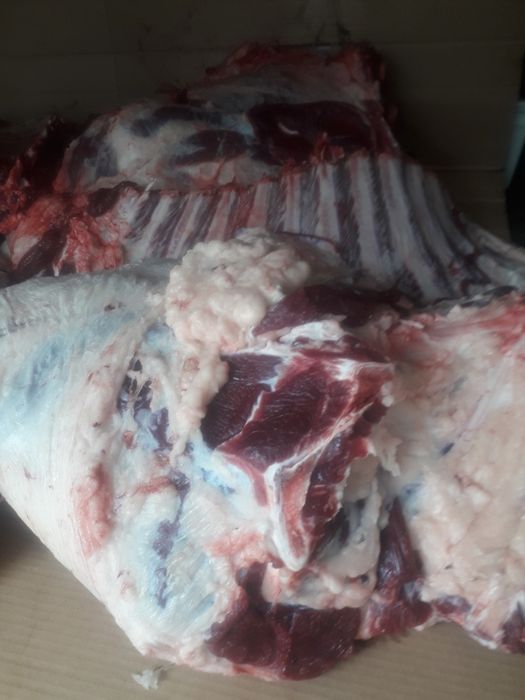 Продам говядину.