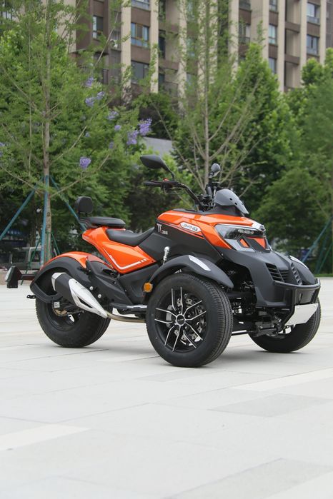 Трицикл Jiming TT300 CBS заказ