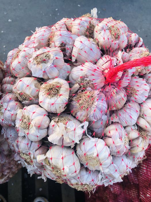 Vand usturoi de pus si de consum