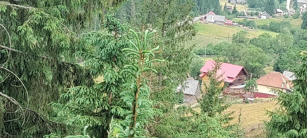 Teren in muntii Apuseni,Belis-Cluj