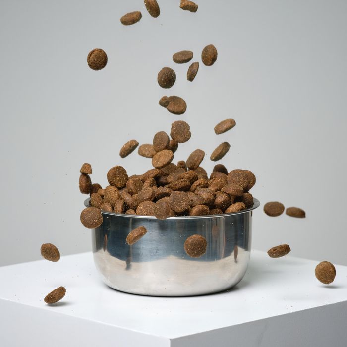 Crochete Essential 12kg Câine Adult - 12 - produs resigilat Decathlon