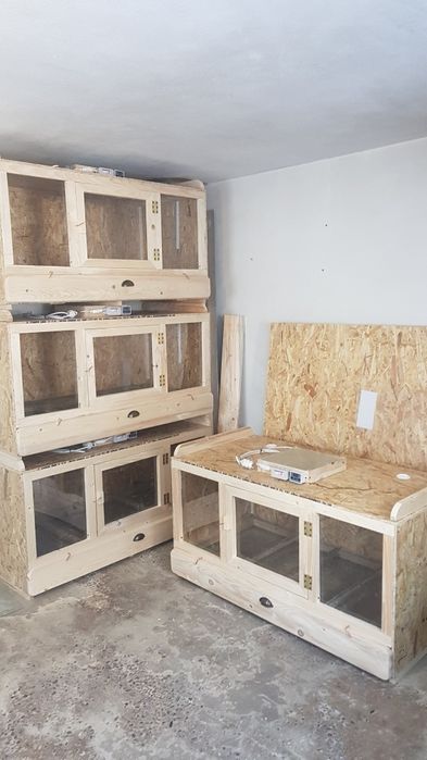 Maternitate pui  pentru 100 pui