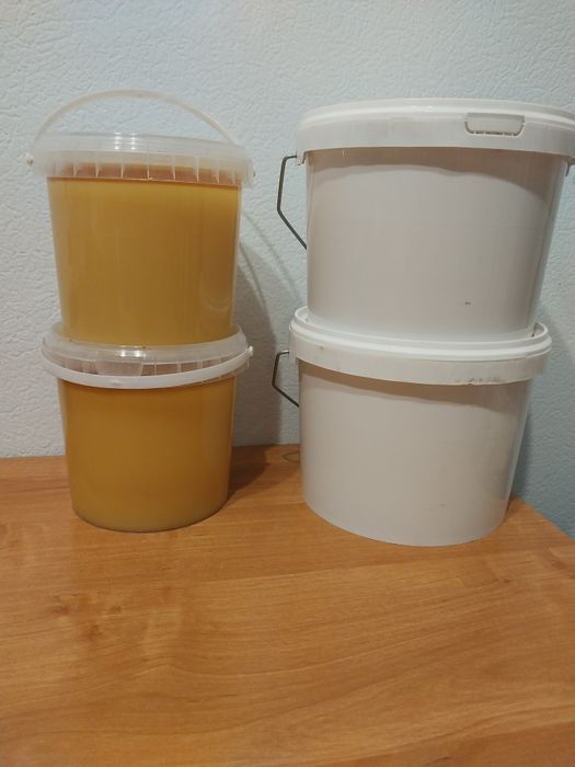 Продам Алтайский мёд