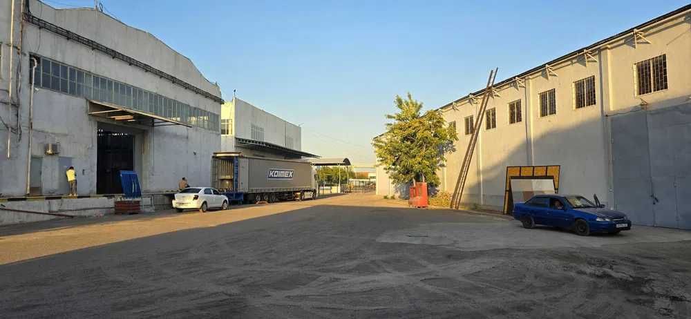 Склады в Ташкенте: ответственное хранение и обработка грузов