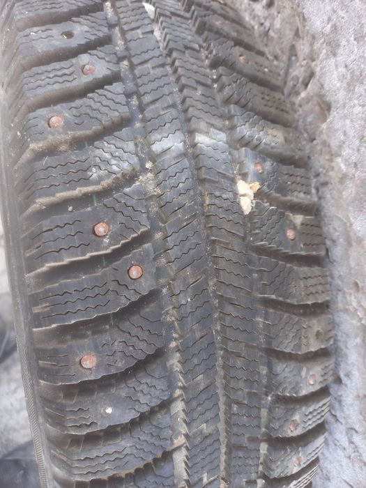 Кыстык донгелектер