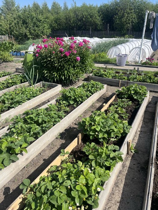 Продам дачу в районе Ахмирово