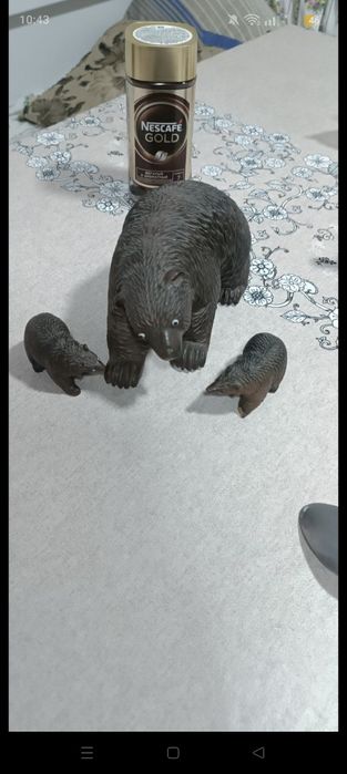 Медведи в хорошем состоянии