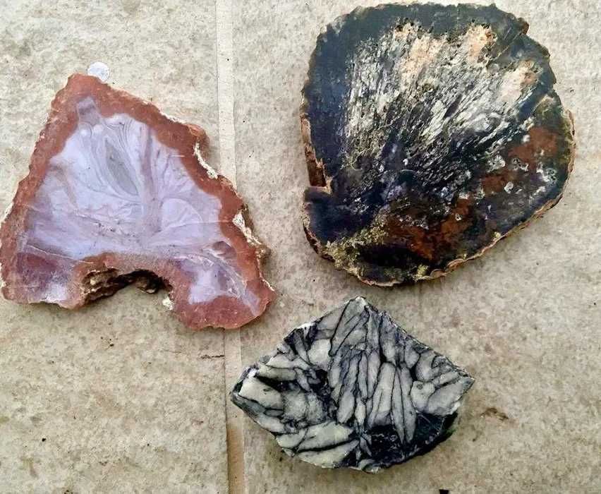 Felii agate Turcia Maroc SUA, pretul este pentru toate 3