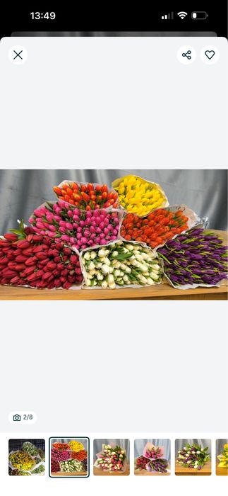 Тюльпаны оптом и в розницу