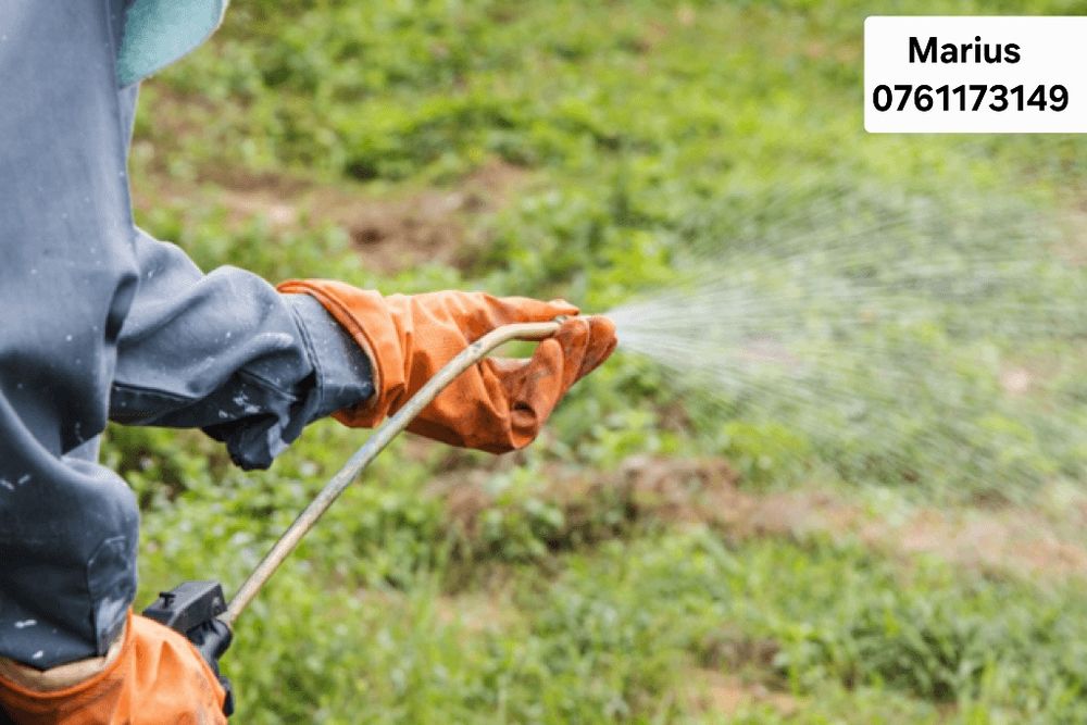 Servicii de taiat arbori,gazon,defrisari,erbicidat.Curățat terenuri