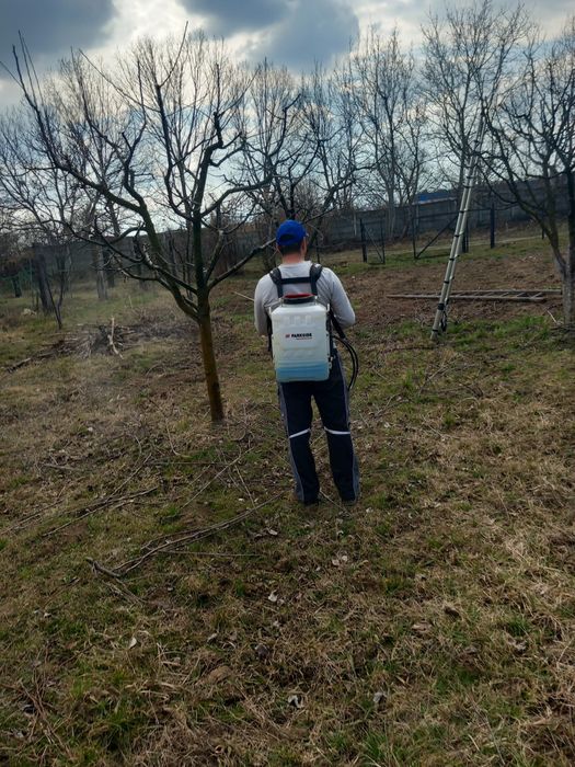 Taieri pomi fructiferi si vita de vie .