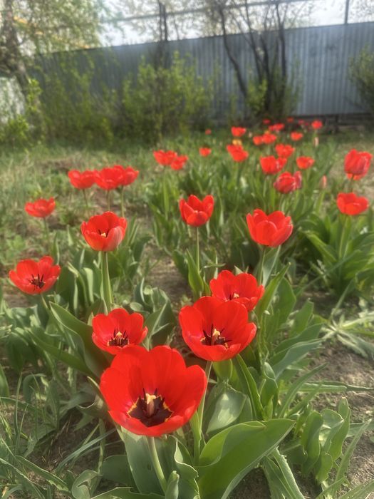 Продам дом 180 кв.м.