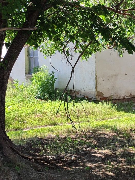 Продам Участок КХ 69га