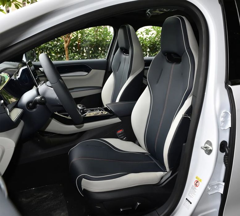 “Gonzo motors” Byd Qin