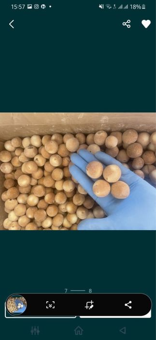 Иримшик,курт,каймак,рафаэлло