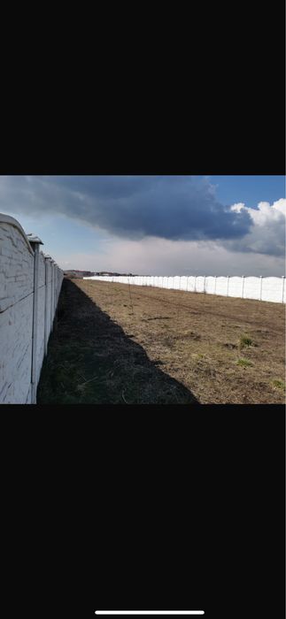 Teren de vanzare Tunari