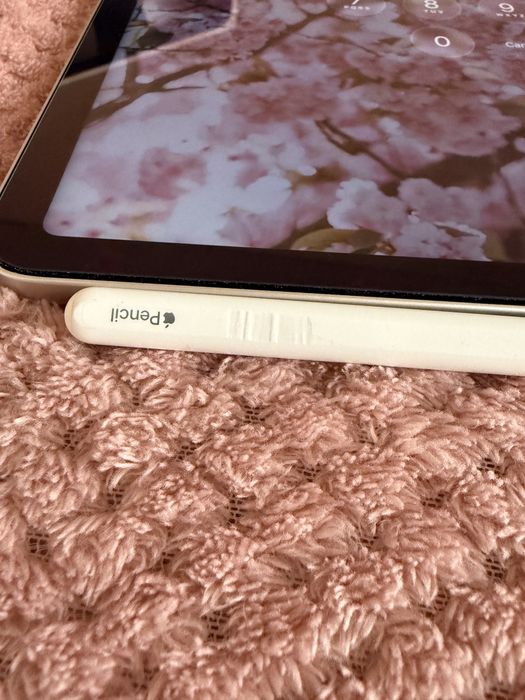 Ipad Air 5 256g + Apple Pencil