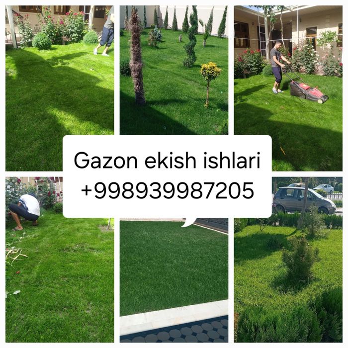 Gazon ekish archa kesish ishlar lanshaftni dizayin ishlar bazaramiz