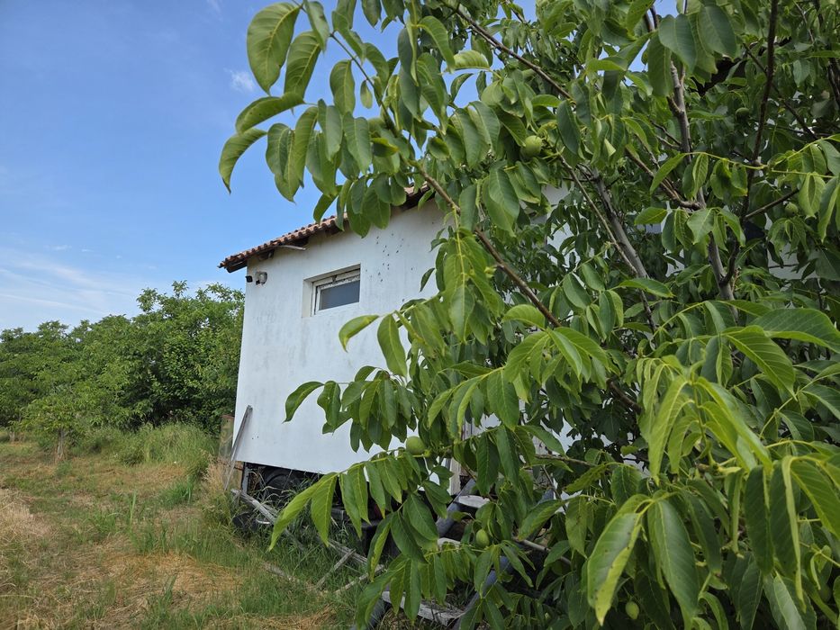 Livada Nuci 2h nou  pe rod la Dragasani
